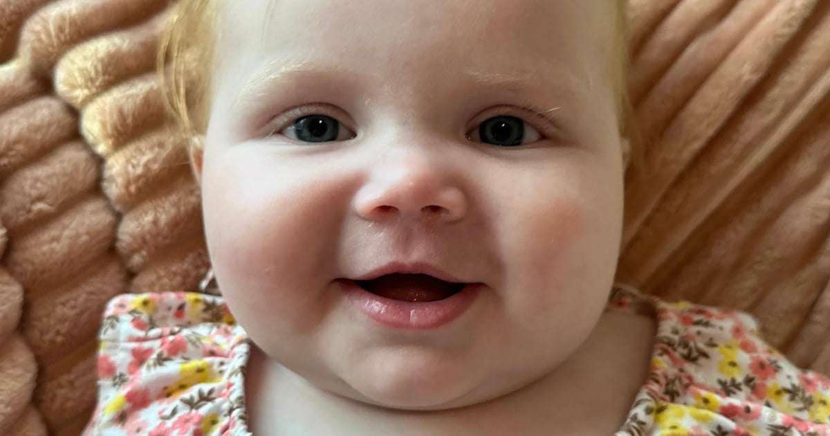 image for Newborn left in Florida Safe Haven Baby Box adopted by the firefighter who found her