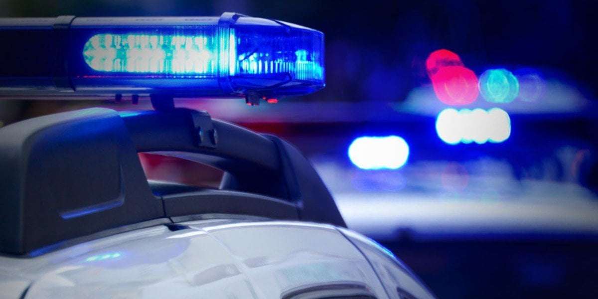 image for Homeowner shoots pool cleaner mistaken for intruder