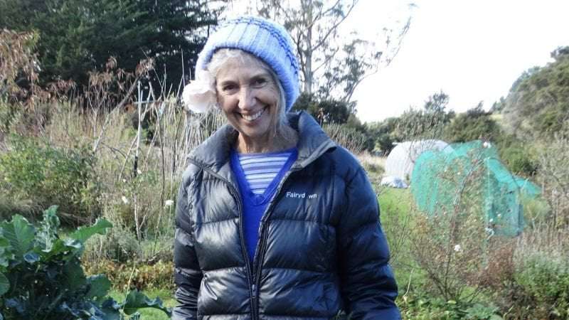 image for Climate activist faces 10 years in jail for a fake letter ‘canceling’ an oil industry conference