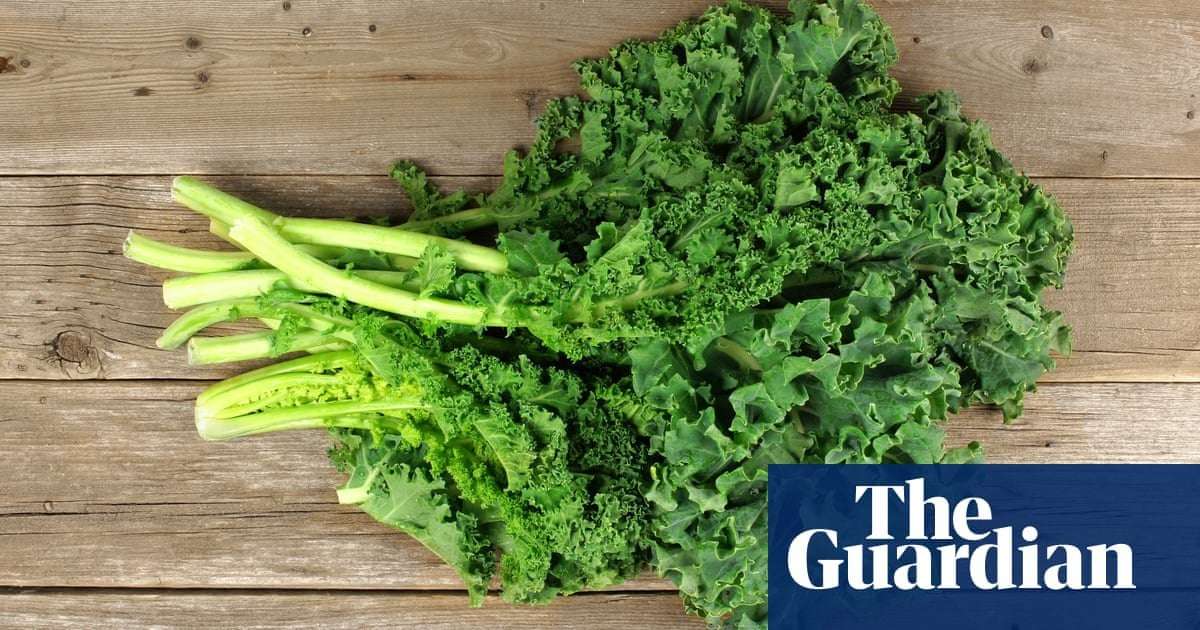image for New report finds most US kale samples contain ‘disturbing’ levels of ‘forever chemicals’