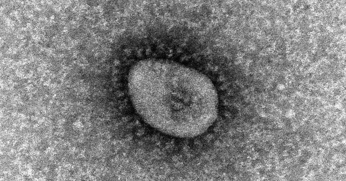 image for COVID cases surge in Okinawa amid concern over possible medical system collapse