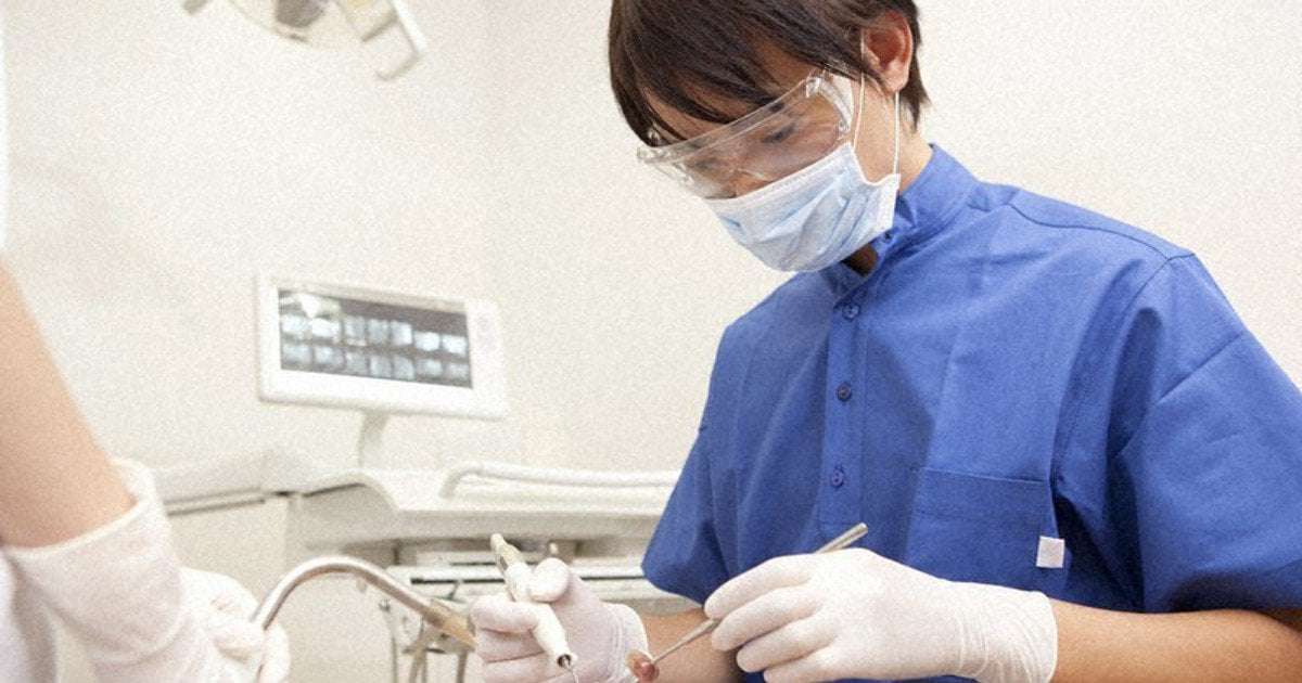 image for World's 1st 'tooth regrowth' medicine moves toward clinical trials in Japan