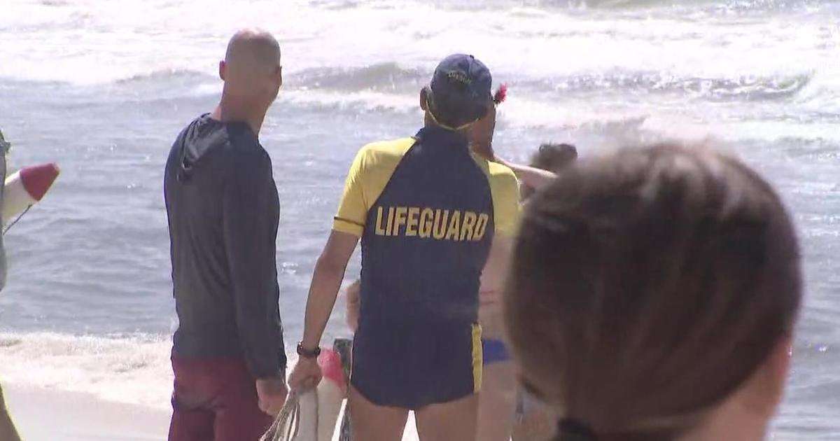 image for Multiple shark attacks reported off New York shores; 50 sharks spotted at one beach