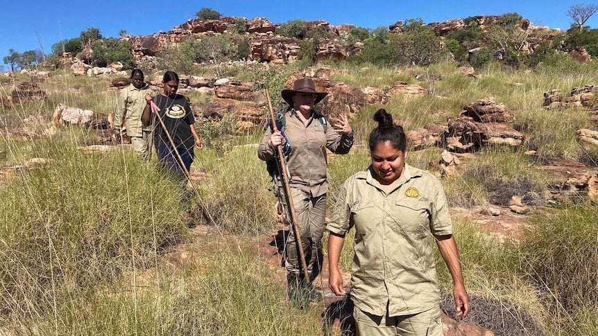 image for WA's new Indigenous women's ranger team help threatened golden bandicoot survive