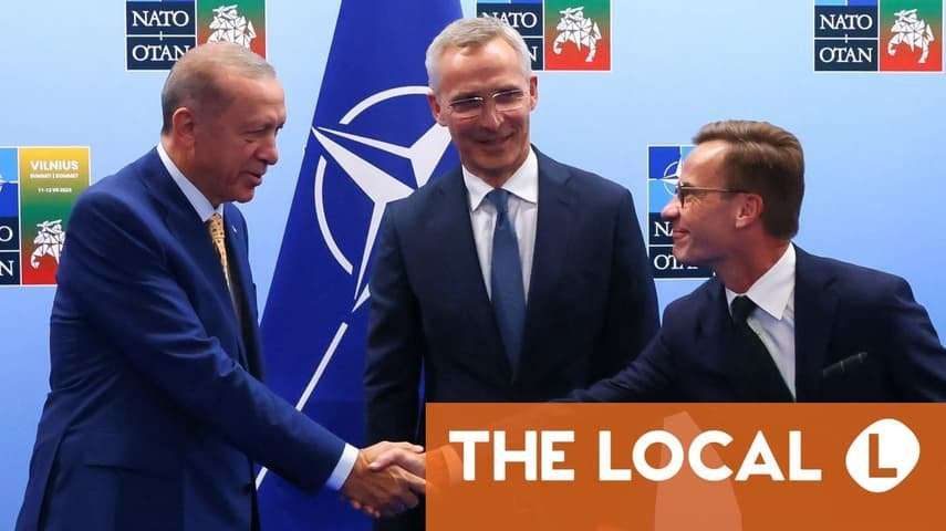 image for Sweden strikes deal with Turkey over Nato membership