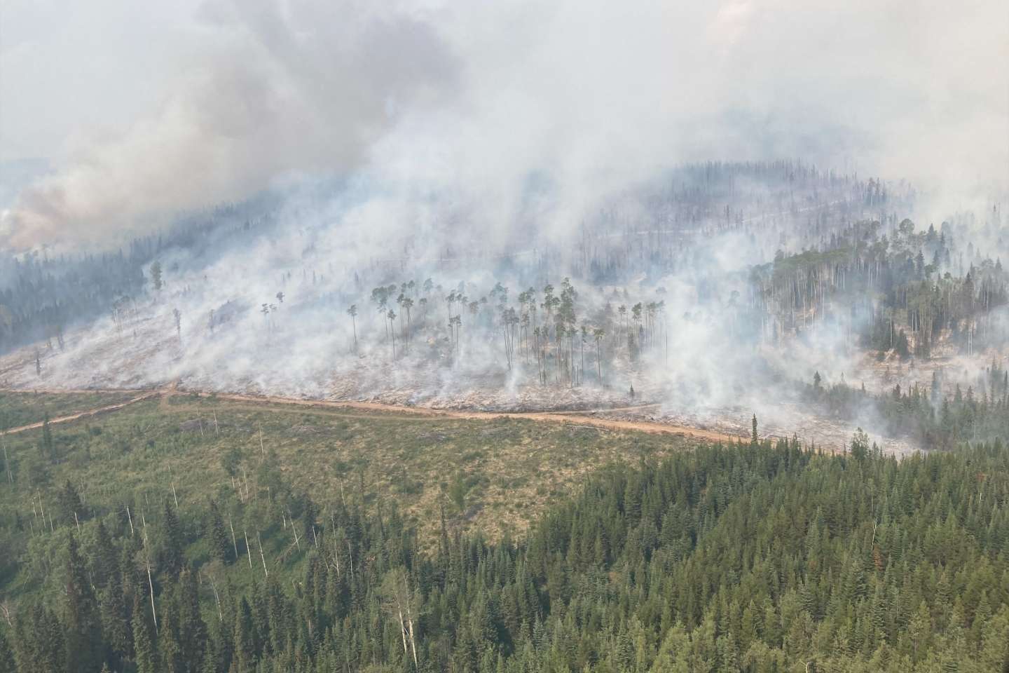 image for Canada wildfires burn a record-breaking 10 million hectares