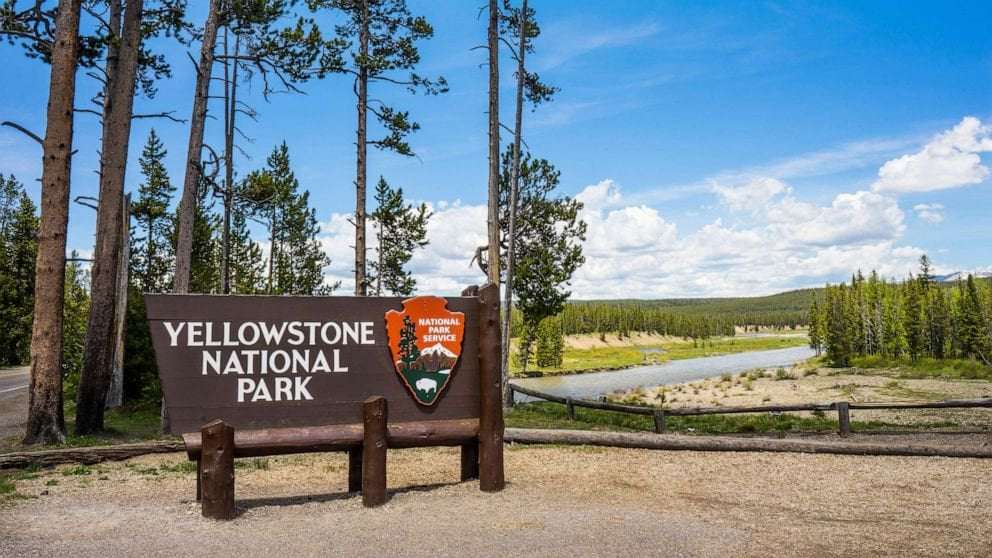image for Woman gored by Bison at Yellowstone