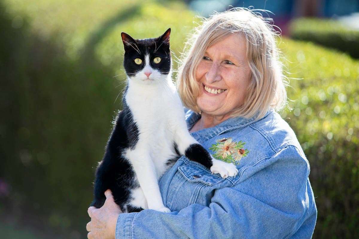 image for ‘Intuitive’ pet who ‘hears’ for deaf owner named National Cat of the Year