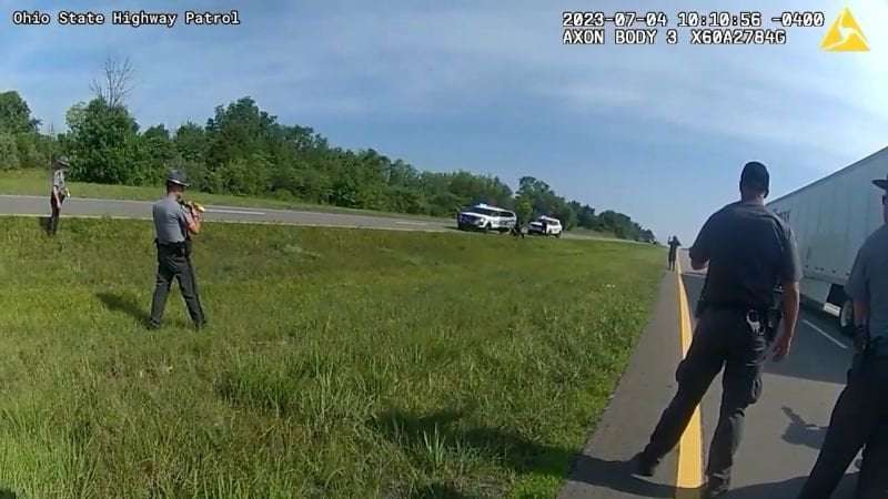image for An unarmed Black man was attacked by a police K-9 dog despite surrendering with his hands in the air