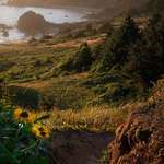 image for ITAP of the Oregon coastline.