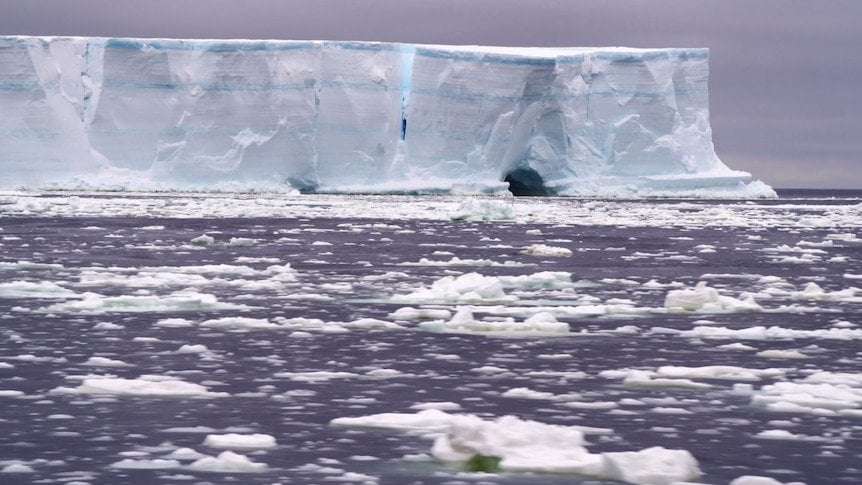 image for Antarctic sea ice levels dive in 'five-sigma event', as experts flag worsening consequences for planet