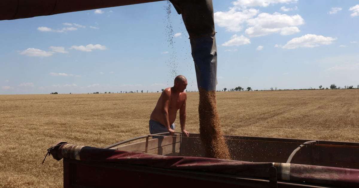 image for African Union calls on Russia to reinstate Ukrainian grain deal
