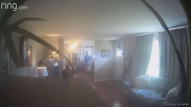 image for Drinking someone else's milk straight from the jug costs B.C. real estate agent $20,000