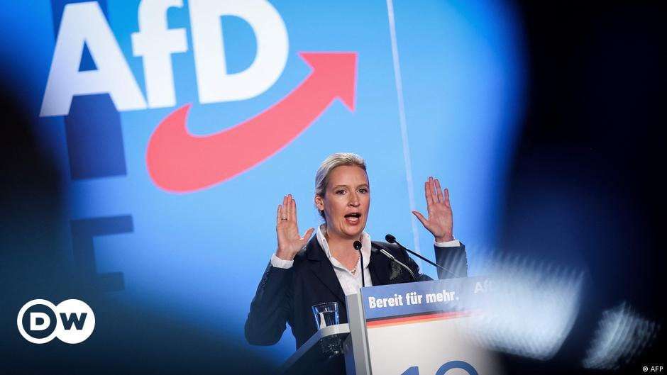 image for Germany: Far-right AfD picks top EU election candidate – DW – 07/29/2023
