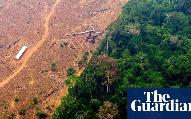 image for Amazon deforestation falls over 60% compared with last July, says Brazilian minister
