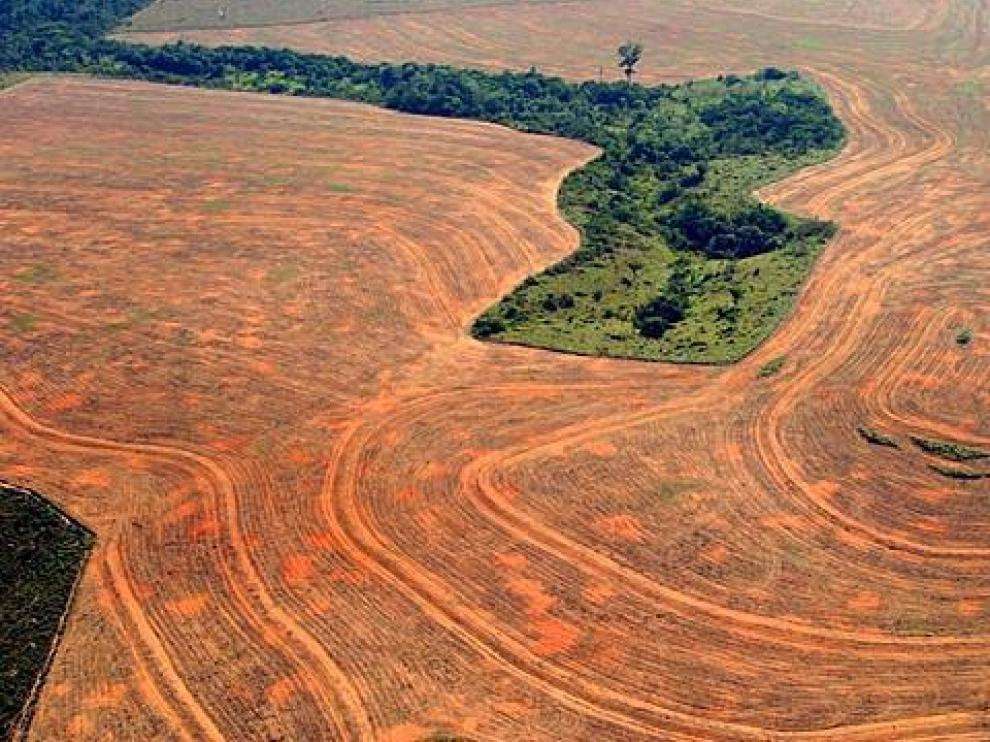 image for Major Amazon deforester arrested in Brazil: 6,500 hectares cleared, assets frozen
