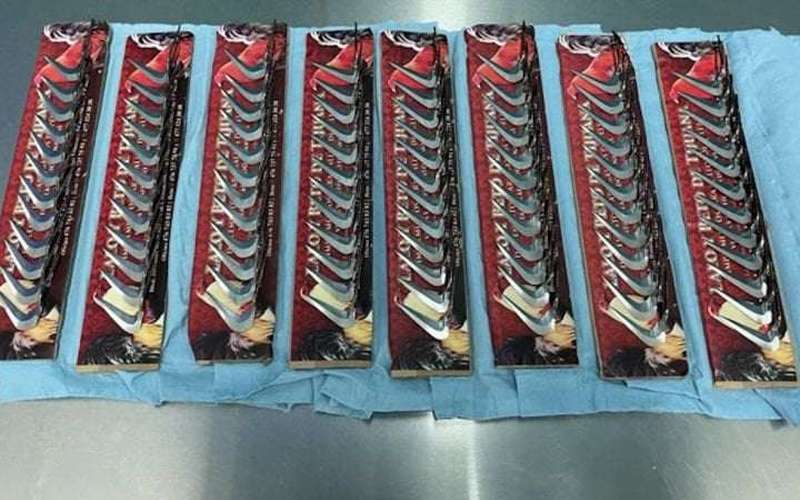 image for Customs officials seize rooster blades used in cockfighting rings