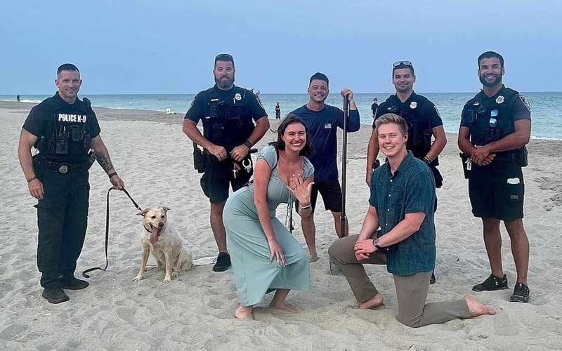 image for Man’s Beach Proposal Saved After Teen with Metal Detector Finds Missing Engagement Ring in the Sand