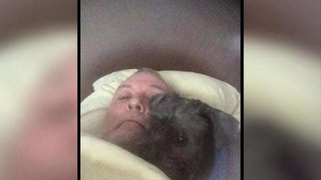 image for ‘Please return my child’: Dania Beach man beaten while walking dog wants pet back after animal was adopted while he was hospitalized - WSVN 7News