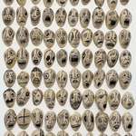 image for I drew 100 faces on pistachio shells