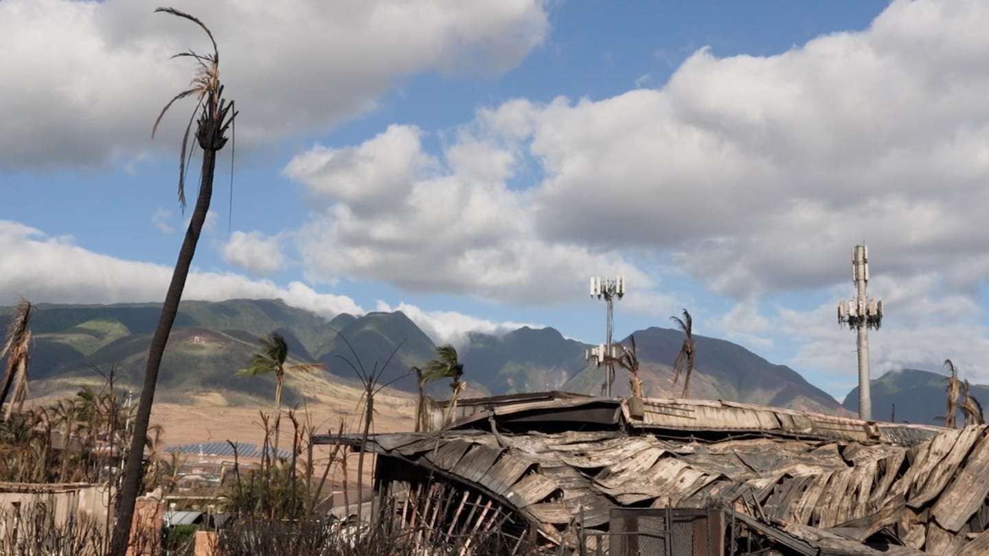 image for Live updates Maui death toll reaches 80; wildfire emergency response under scrutiny