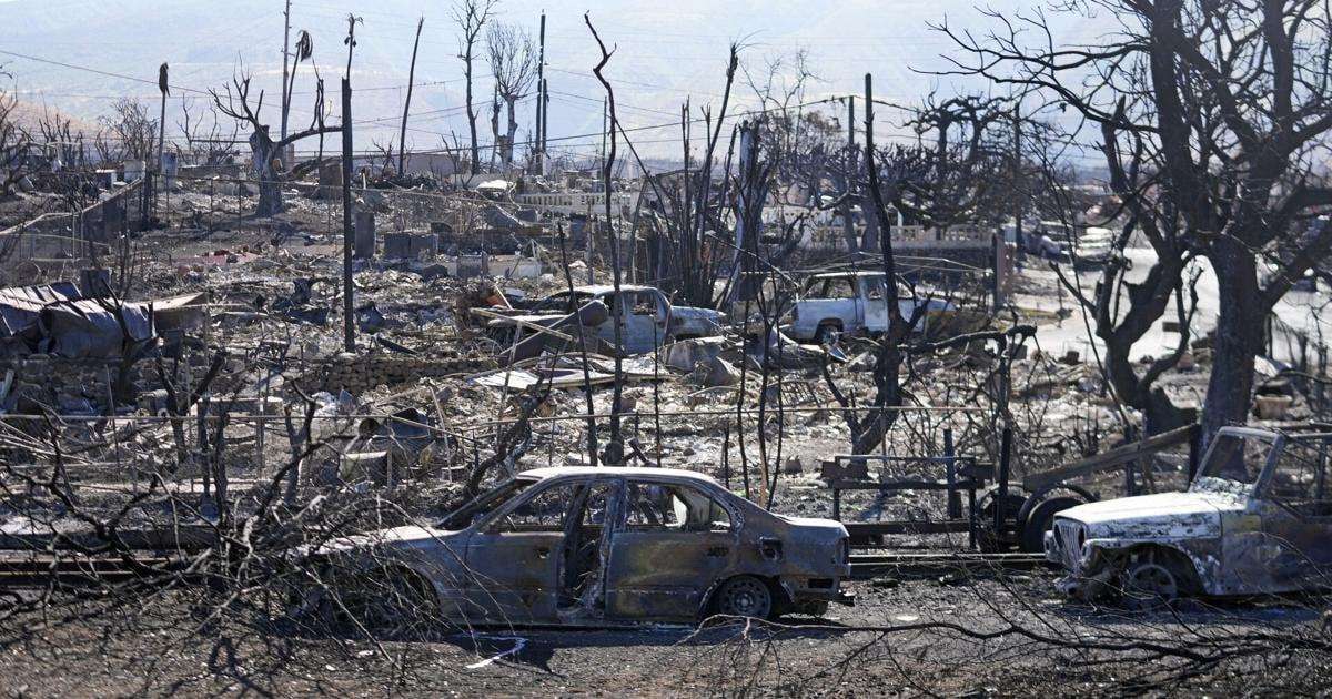 image for A charity says it will help search for mementos that survived Maui fires. Follow live updates