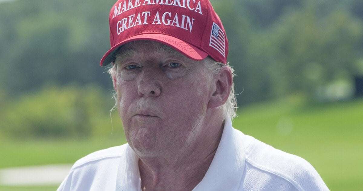 image for Polling roundup: Trump has no realistic path to win a general election