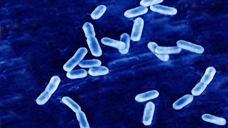 image for Tacoma Listeria outbreak: Three dead after drinking Frugals restaurant milkshakes