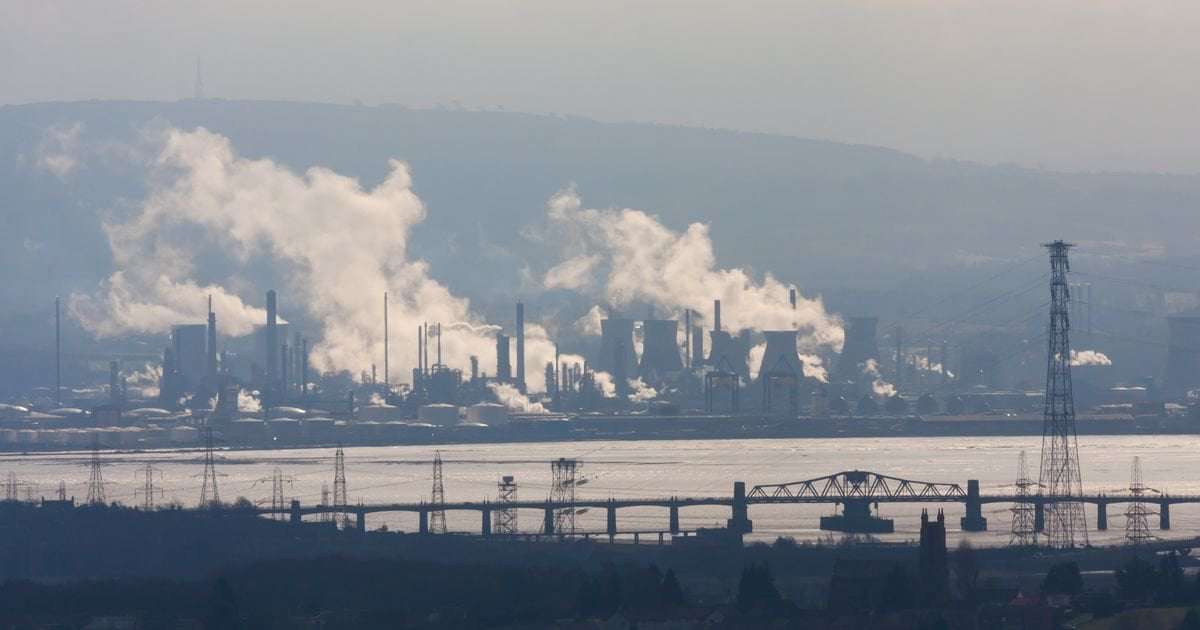 image for Calls for ‘ecocide’ law in Scotland to punish those who destroy nature like war criminals
