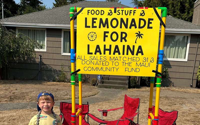image for A 5-year-old's lemonade stand in Seattle raised over $17,000 for victims of Maui wildfires