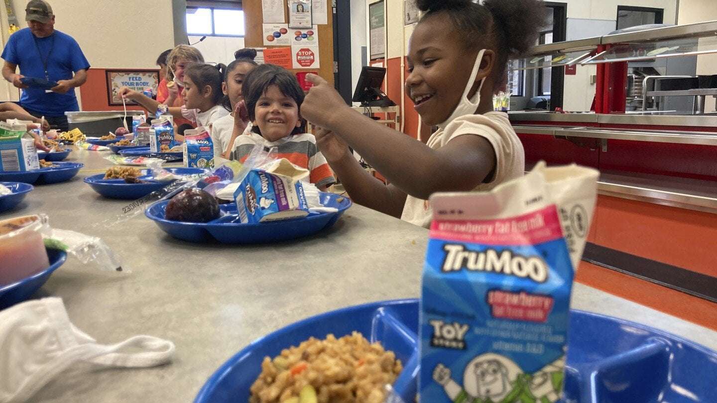 image for Schoolkids in 8 states can now eat free school meals, advocates urge Congress for nationwide policy