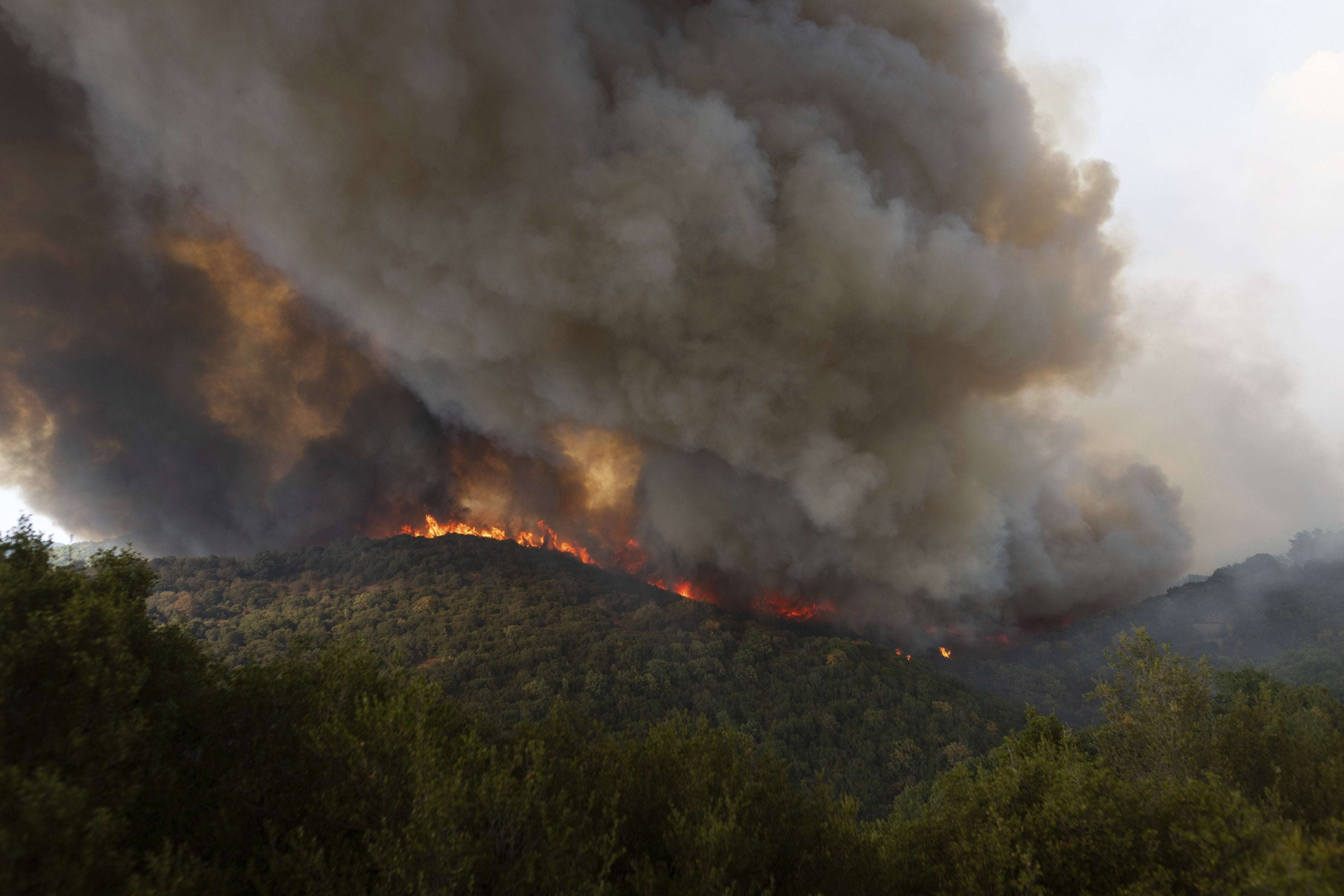 image for Firefighters in Greece Are Struggling to Battle The E.U.'s Biggest Wildfire Ever Recorded