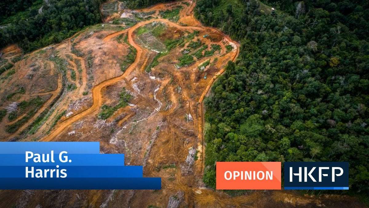 image for As China replants its own forests, it is destroying the world’s