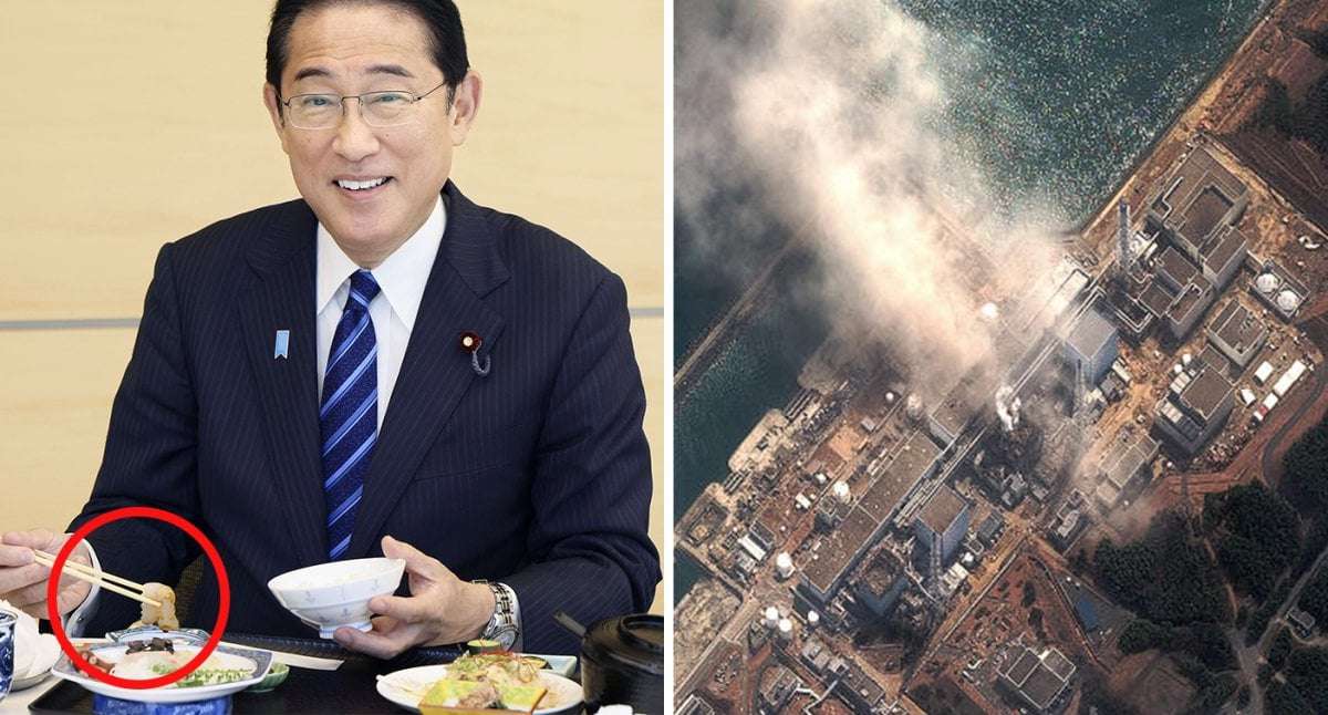 image for Japan PM's desperate sushi stunt to show Fukushima water is safe: What you need to know