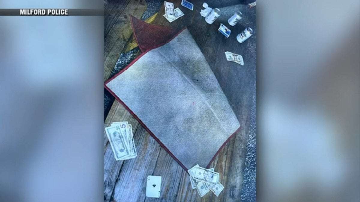 image for Large-scale gambling ring uncovered in Milford after police raid backyard volleyball games - Boston News, Weather, Sports