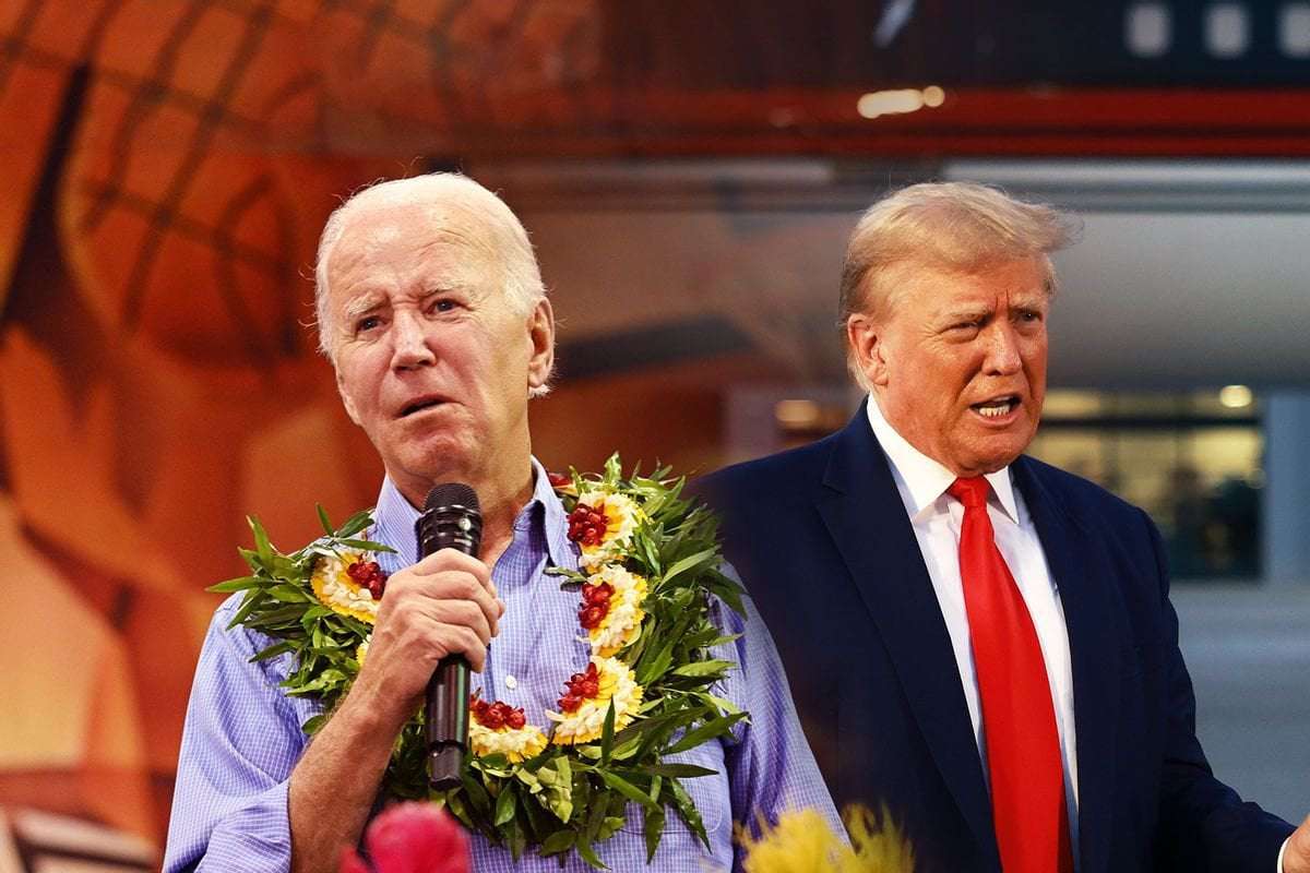 image for How did we get here? The dumbing of America, from Reagan to Trump and beyond