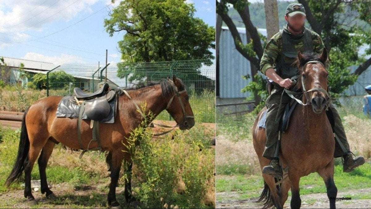 image for Russian Combat Unit Using Horses to Covertly Supply Troops