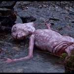image for Mexico releases NEW photo of Alien body (nsfw)