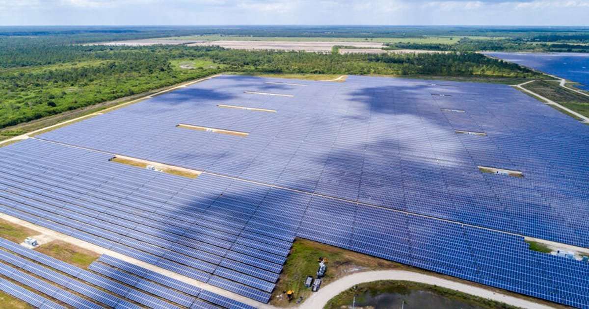 image for Florida is now adding more solar power than any other state