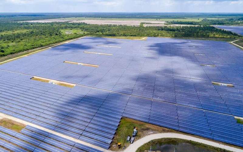 image for Florida is now adding more solar power than any other state