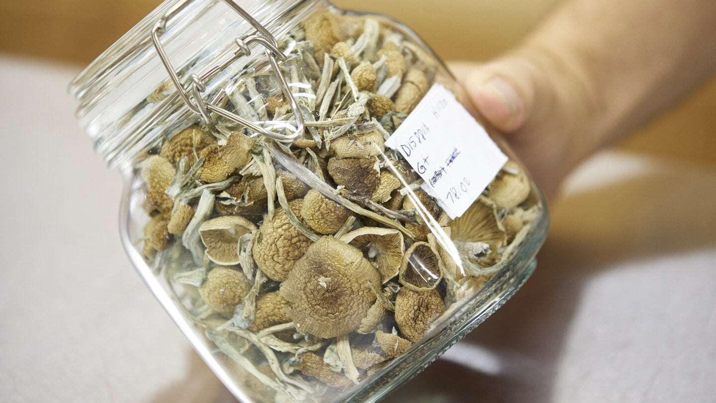 image for Oregon launches legal psilocybin access amid high demand and hopes for improved mental health care