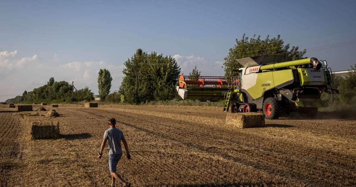 image for Ukraine will sue Poland, Hungary and Slovakia over agricultural bans