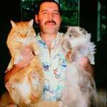 image for Freddie Mercury and his cats