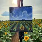 image for I painted a sunflower field today