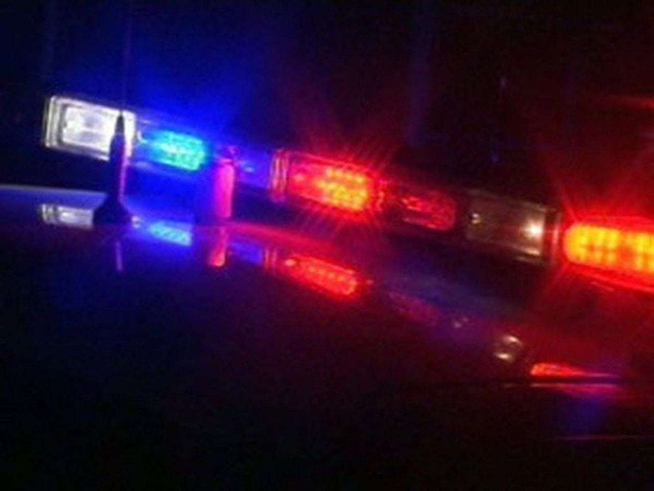 image for Missing toddler found sleeping on top of family dog 3 miles away from Michigan home