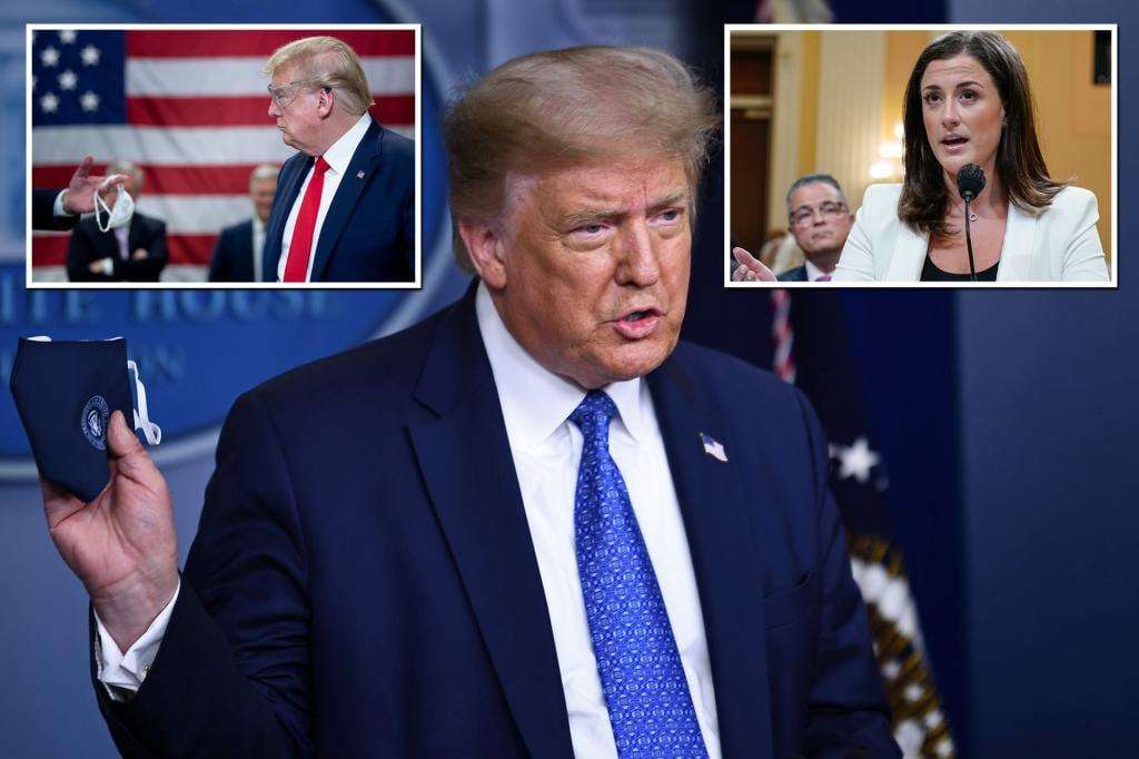 image for Trump refused to wear COVID mask because it smudged his bronzer, former aide claims
