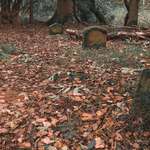 image for Pet cemetery deep in the woods. 9 headstones in total, dated from 1935-1983.