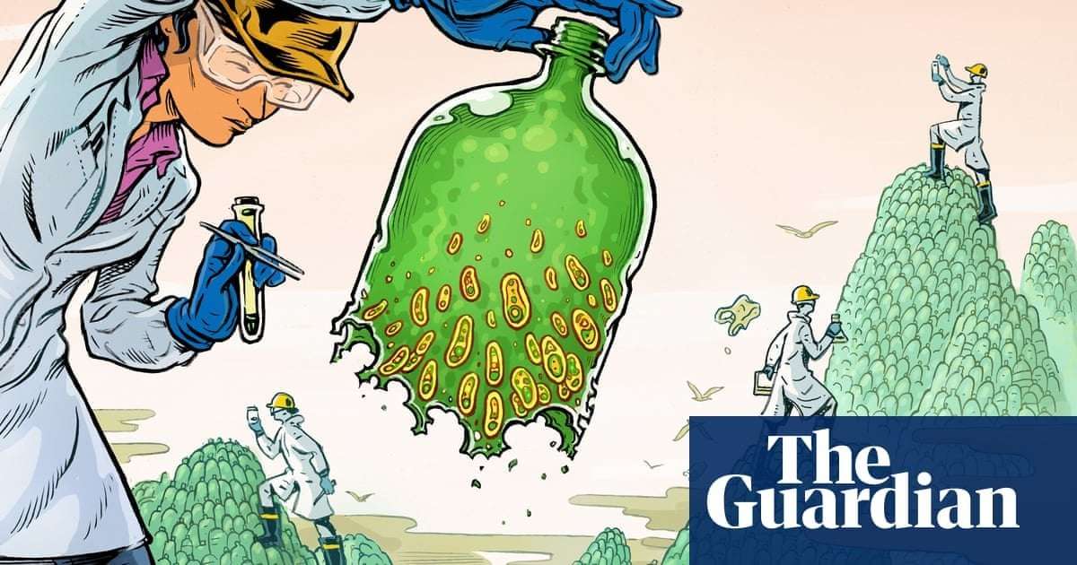 image for ‘We are just getting started’: the plastic-eating bacteria that could change the world
