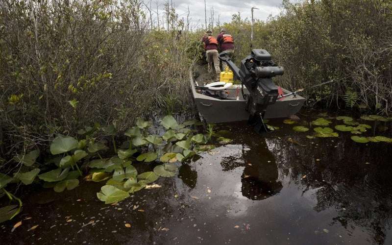 image for U.S. to nominate Okefenokee Swamp refuge for listing as UNESCO World Heritage site
