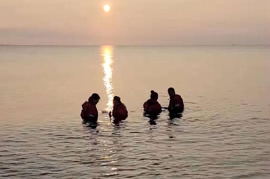 image for Watch: Stranded dolphins rescued from shallow river in Massachusetts